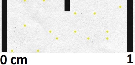 Código da impressora