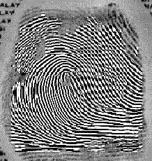 graphic